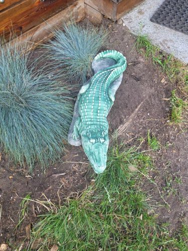  Gipsani krokodil, a ne betonska vrtna figurica