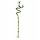 HAPPY BAMBUS DRACENA BILJKA SPIRALA VISINA 45 cm IKEA