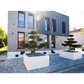 TC INVESTMENT posuda za cvijeće 80 cm x 80 x 80 cm beton