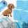 Vixen Super Absorbent Pet Pads 45x60cm 100pcs + Free Bags