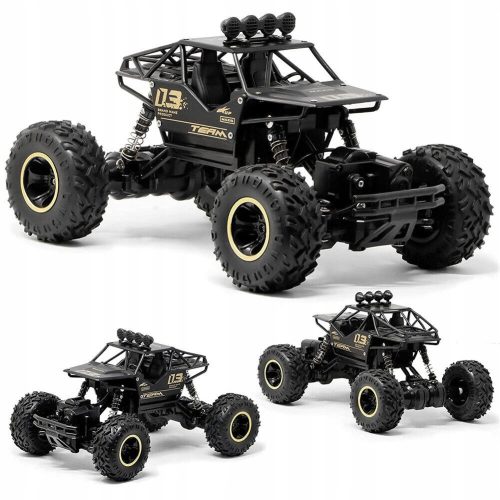 Terenski RC automobil s daljinskim upravljanjem 4x4 metalna karoserija 1:16 pilot
