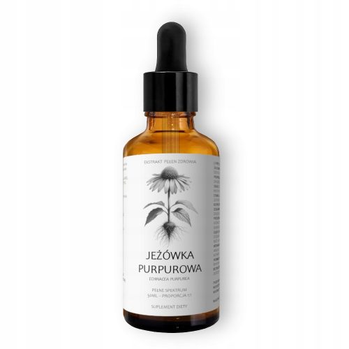 Ekstrakt tekući 1:1 Echinacea Purpurea – 50ml, Visokoistemljiv i S prirodnim spojevima