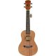 Arrow MH-10 Koncertni Ukulele s Kutijom