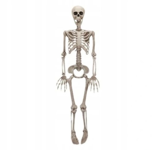  KOSTUR DEKORACIJA KOSTUR HALLOWEEN 90 CM