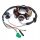 Magneto stator coil assembly for 1 piece