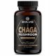 CHAGA 10:1 Ekstrakt od Solve Labs - Maksimalna koncentracija za zdravlje