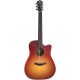 Elektroakustična gitara Furch Green SB DC-SR LR Baggs SPE s koferom