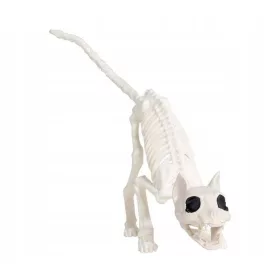  Stojeći plastični okvir 151 48 cm