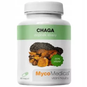Chaga gljiva (Inonotus obliquus) - ekstrakt visoke kvalitete