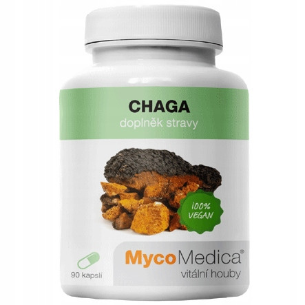 Chaga gljiva (Inonotus obliquus) - ekstrakt visoke kvalitete