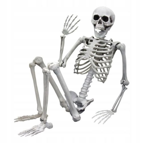  LJUDSKI KOSTUR OD HALLOWEEN KOSTIJU 170CM