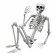  LJUDSKI KOSTUR OD HALLOWEEN KOSTIJU 170CM