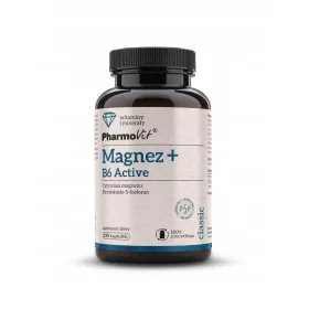   Magnez + B6 Active 120 kapsula za zdravlje živčanog sustava