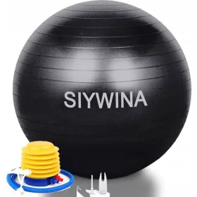    REHABILITACIJSKA GIMNASTIČKA LOPTA AEROBIC FITNESS 65CM + PUMPA 65cm