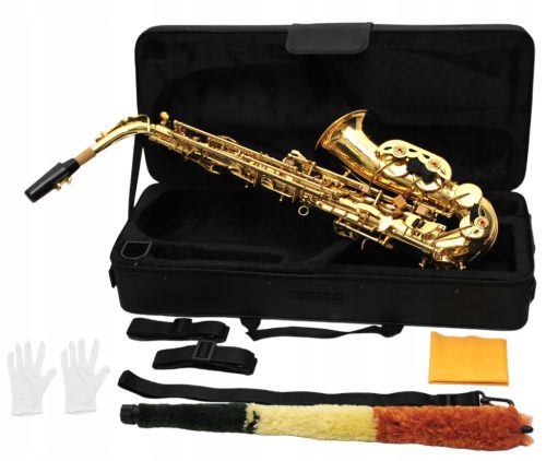  MEMPHIS MSA-100G ALT SAKSOFON - SET + PUSTICE
