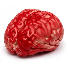  Gadget Poklon umjetni mozak