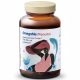 OmegaMe Prenatal od Health Labs Care - Suplement diety za trudne county omega-3 masne kiseline 60 kapsula