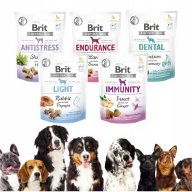 Brit Care Funkcionalni Prigorski Snack Dental za Pse 150g