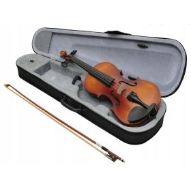    VIRTUOZNA STARINSKA VIOLINA 4/4 NAKON PREGLEDA IZRAĐAVAČA violina + BESPLATNO