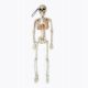  VISEĆI DEKORACIJA HALLOWEEN KOSTUR 40 CM