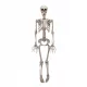 KOSTUR DEKORACIJA KOSTUR HALLOWEEN 90 CM