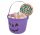  BLACK HALLOWEEN KANTA za bombone