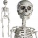  kompletan Halloween kostur s pomičnim zglobovima, 76CM