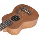 UKULELA SOPRANO MIX54 + SET OD 10 PRIBORA
