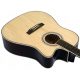Echo Dreadnought akustična gitara W11 41" s dodatnom opremom