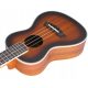 QBT koncertni ukulele s 10x dodatnom opremom