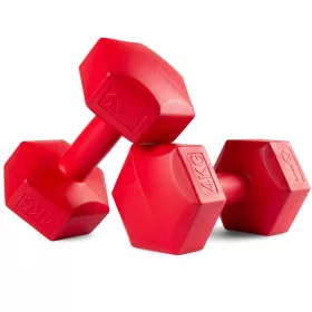   SET FITNESS PILATES Bučice BITUMINUM DUMBS ZA VJEŽBE 2x4kg