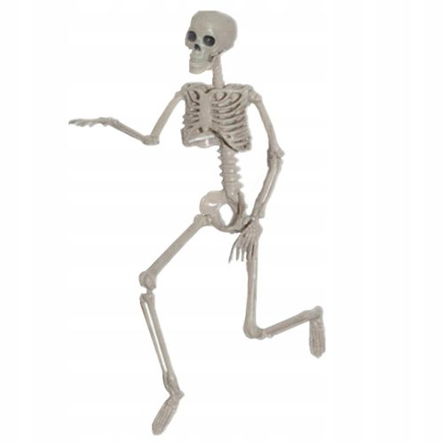  Skeleton body Skeleton rekviziti za noć vještica H 160