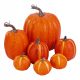 Student Pumpkins Set za Jesen i Noć vještica