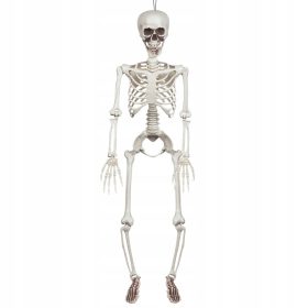  VISEĆA DEKORACIJA KOSTUR 91 CM HALLOWEEN Skelet
