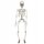  VISEĆA DEKORACIJA KOSTUR 91 CM HALLOWEEN Skelet