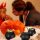 Mini kovčeg za slatkiše i držač za Halloween dekoracije, set od 12 komada Mini kovčeg za slatkiše i držač za Halloween dekoracije je izrađen od plastike, sigura