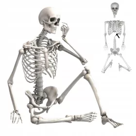    KOSTUR viseći kostur zastrašujuća HALLOWEEN dekoracija 170CM