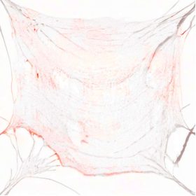  Ukrasni materijal s mrljama krvi 0,72x9,8m