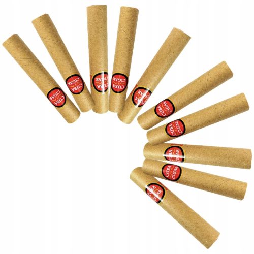 10 Luksuznih Cigara za Novo Pušenje