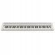 Casio CT-S1WE 76 tipki tipkovnica