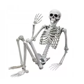  MODEL LJUDSKOG KOSTURA HALLOWEEN BONES 90CM