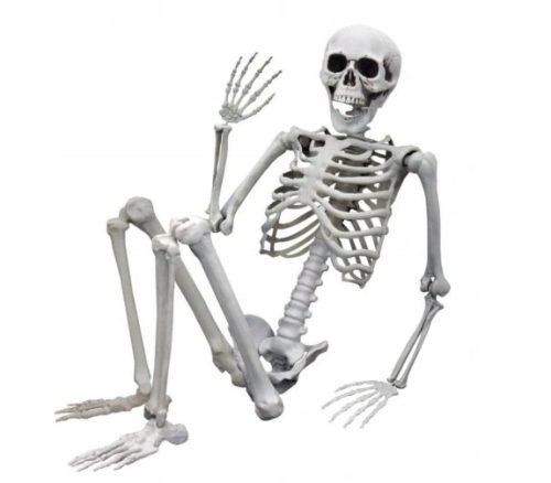  MODEL LJUDSKOG KOSTURA HALLOWEEN BONES 90CM