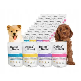    DOLINA NOTECI Premium Junior mokra hrana za pse Mix of Flavors 40 x 100g