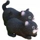 OPRUZIČNA ZABAVA ZA DJECU FIDGET TOYS MEOW