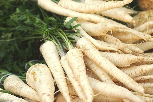 Korijen peršina (Visla) sjemenka 500g