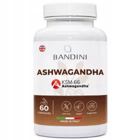   Ashwagandha 500 mg KSM-66 - Visokodozni dodatak prehrani, 60 kapsula