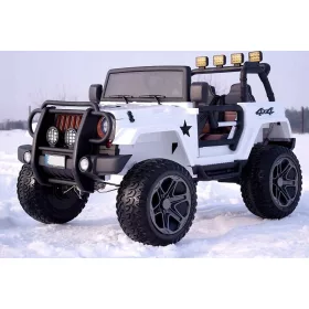  ELEKTRIKA JEEP 2 SJEDA 24V 4x120W PILOT AMORY