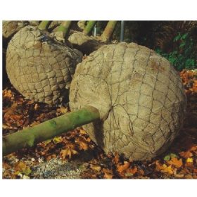  KOŠARE ZA PAKIRANJE BILJAKA S GRUMOM - Ø 100 cm / 25 kom.