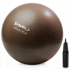    HMS Rehabilitacijska gimnastička lopta ANTI-BURST za fitness vježbe 65 cm