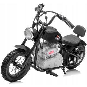   Električni motor na 2 kotača, napuhani kotači, 24V baterija, 250W snaga